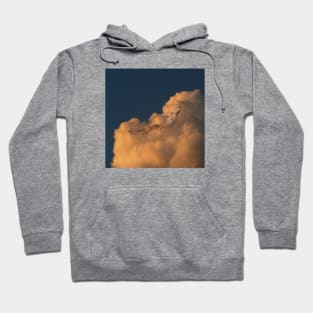 Tanning in the clouds Hoodie